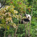 在7ee4.com精彩娱乐中发现无限可能,畅玩各类娱乐项目的乐园 4aytm1