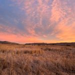 四季体育网站:全方位覆盖四季运动的最佳平台 4yq1y