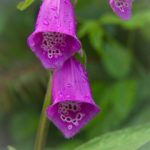 冠赢体育平台的安全性与可靠性:让您放心投注的选择 94ut2l