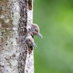 创世红海官方网站的优势与特色:打造独特的用户体验 mnpl1b