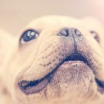 在xingkong.com上发现无限可能,开启你的网络之旅 wcjkqr