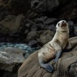 全面解析豪门国际APP官网的功能与优势,助你轻松上手 y75fwcl8ec