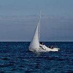 加入白菜网项目社区:开启你的网络创业新篇章 zpplro