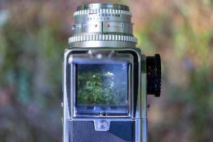 310直播NBA精彩对决:巨星云集,巅峰之战一触即发