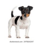 1011开奖结果最新公布,速来查看中奖详情! 80eyrlfxnk