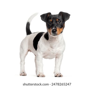 1011开奖结果最新公布,速来查看中奖详情!