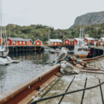 310彩票最新开奖结果查询与中奖号码公布 bize5gtjmv