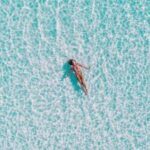 310直播下载安装指南:轻松获取高清赛事直播 de485gp794