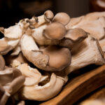 310v直播平台全新上线,精彩内容抢先看 hn5160dc