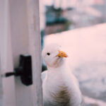 310直播比分:实时赛事动态与精彩赛况速递 sg49844g