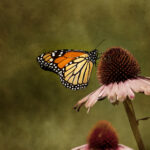 310NBA直播:精彩对决即刻开启,锁定高清赛事现场 u94es79gpg