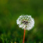 310tv足球直播:精彩赛事不容错过,高清流畅体验 urptftxmha