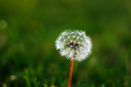 310tv足球直播:精彩赛事不容错过,高清流畅体验